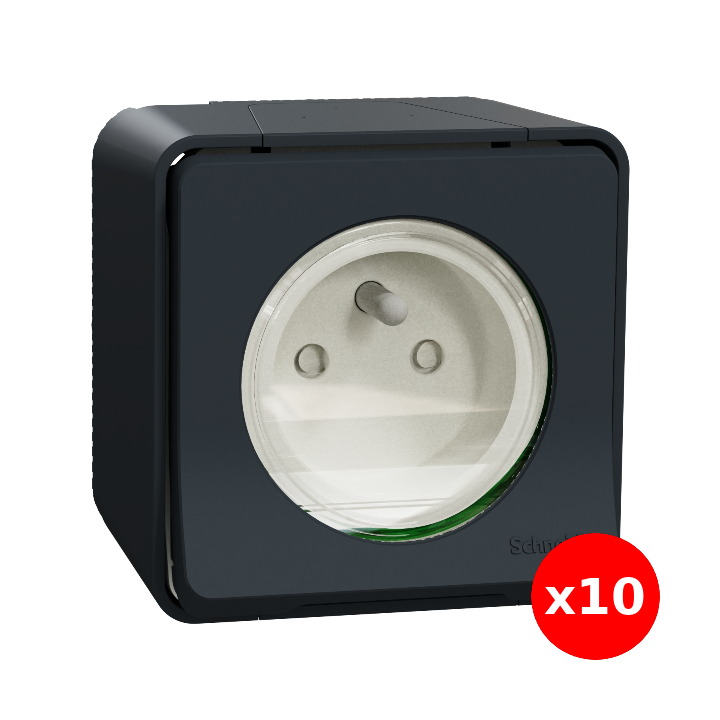 Schneider - Mureva Styl - Prise courant 2P+T - saillie - IP55 - IK08 - connexion auto - gris - Réf : MUR35031