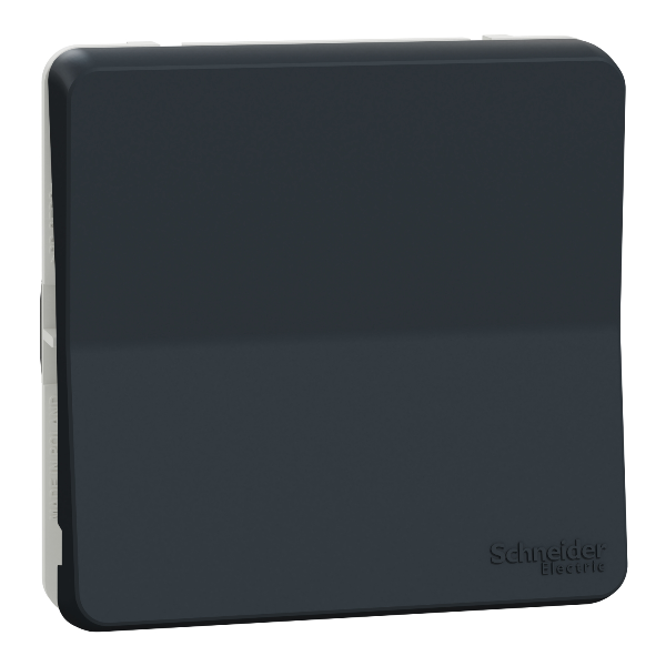 Schneider - Mureva styl - Composable va et vient en saillie ou encastré  - IP55 - IK08 - connexion auto - gris - MUR37021