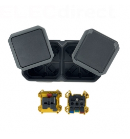 Legrand Plexo - PC 2P+T - 16A - 250V + Va-et-Vient 10A - Complet saillie - Anthracite - IP55/IK08 - Réf : 070067