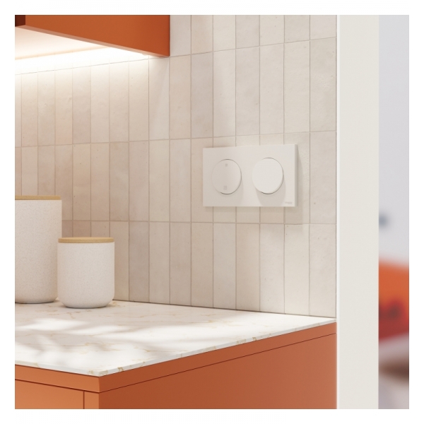 Schneider - Odace 2025 - plaque de finition 2 postes - couleur Blanc craie - Réf : S920704