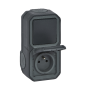 Legrand - Plexo L - Prise de courant + Interrupteur - Saillie - Anthracite - IP55/IK08 - Réf : 070067