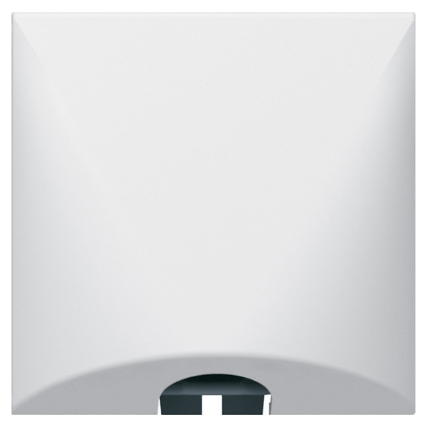 Legrand - Mosaic L - Sortie de Câble - 2M - Blanc - Réf : 277550L