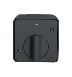 Schneider - Mureva Styl - Interrupteur temporise LED - saillie - IP55 - IK08 - gris - Réf : MUR35067