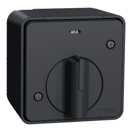 Schneider - Mureva Styl - Interrupteur temporise LED de 2 à 14 minutes - Saillie - IP55/IK08 - Gris - Ref : MUR35067