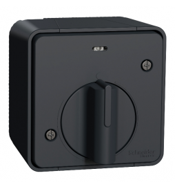 Schneider - Mureva Styl - Interrupteur temporisé LED - saillie - IP55 - IK08 - gris - Réf : MUR35067