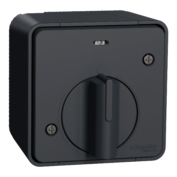 Schneider - Mureva Styl - Interrupteur temporisé LED - saillie - IP55 - IK08 - gris - Réf : MUR35067