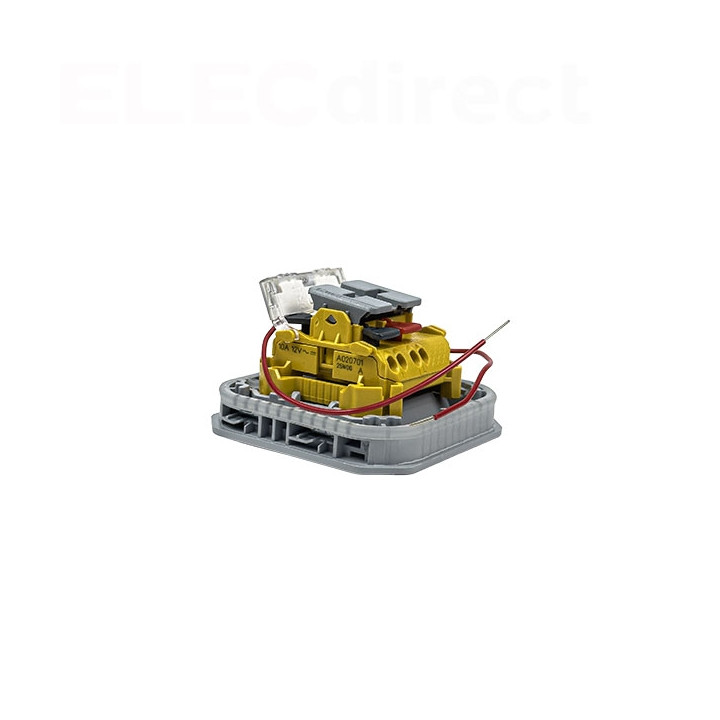 Legrand - Plexo - Poussoir lumineux porte-étiquette avec voyant - composable - gris - 10A - 250V - IP55/IK08 - Réf : 069544L