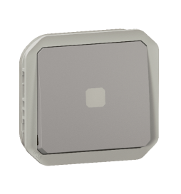 Legrand - Plexo L - Interrupteur temporisé lumineux sans neutre - 8A - 250V - composable - IP55/IK07 - Gris - Réf : 069504L