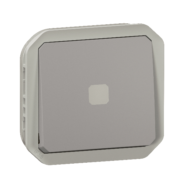 Legrand - Plexo L - Interrupteur temporisé lumineux sans neutre - 8A - 250V - composable - IP55/IK07 - Gris - Réf : 069504L