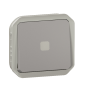 Legrand - Plexo L - Interrupteur temporisé lumineux sans neutre - 8A - 250V - composable - IP55/IK07 - Gris - Réf : 069504L