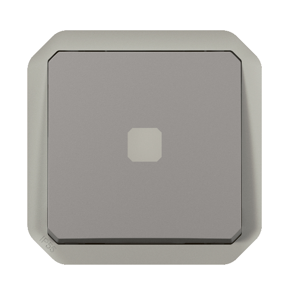 Legrand - Plexo L - Interrupteur temporisé lumineux sans neutre - 8A - 250V - composable - IP55/IK07 - Gris - Réf : 069504L