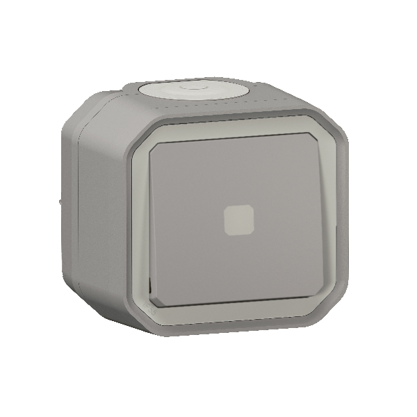 Legrand - Plexo - Interrupteur temporisé lumineux - 8A - 250V - saillie - IP55/IK07 - Blanc - Réf : 069504L + 069651L