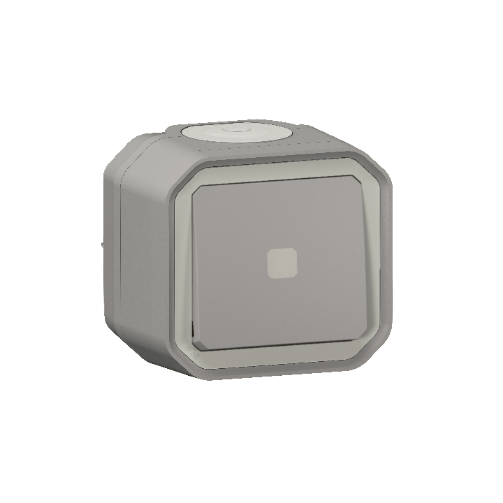 Legrand - Plexo - Interrupteur temporisé lumineux - 8A - 250V - saillie - IP55/IK07 - Blanc - Réf : 069504L + 069651L