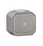 Legrand - Plexo L - Interrupteur temporisé lumineux - 8A - 250V - saillie - IP55/IK07 - Gris - Ref. : 069504L + 069651L