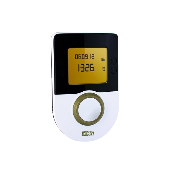 Delta Dore - Indicateur de consommations d'énergies - Réf : TYWATT 1000