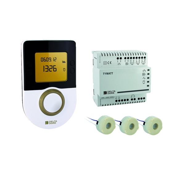 Delta Dore - Indicateur de consommations d'énergies - Réf : TYWATT 1000