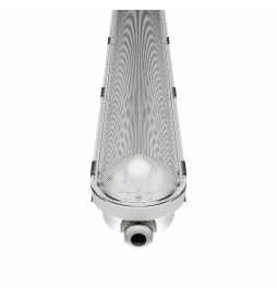 Spectrum - LIMEA GIGANT PRO - LED 60cm - 21W/12W - 4000K - IP66 - Réf : SLI028250NW_PW