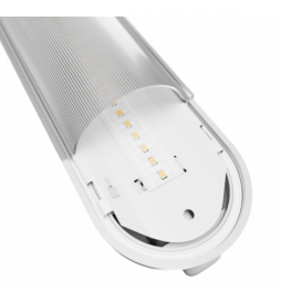 Spectrum - LIMEA GIGANT PRO - LED 60cm - 21W/12W - 4000K - IP66 - Réf : SLI028250NW_PW