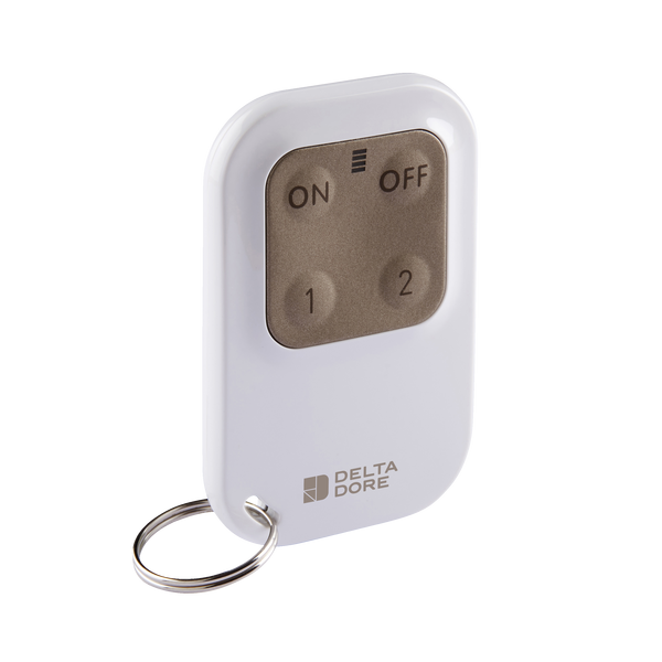 Delta Dore - Télécommande porte-clé 4 touches pour système d'alarme et automatismes - Marche/Arrêt - Réf : TL 2000 Tyxal+