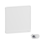 Schneider - Resi9 - Porte Styl - Blanc - 18 modules - 2 rangées + serrure avec clé - Réf. : R9H18422+R9H13388