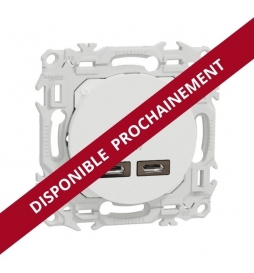 Schneider - Odace 2025 - chargeur double USB type C+C - 21W Power Delivery - blanc craie - Réf : S920401