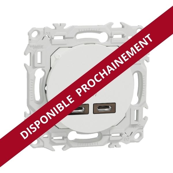 Schneider - Odace 2025 - chargeur double USB type C+C - 21W Power Delivery - blanc craie - Réf : S920401