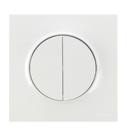 Schneider Odace - Double Poussoir 10A Complet - 250V - Réf : S520216+S520702