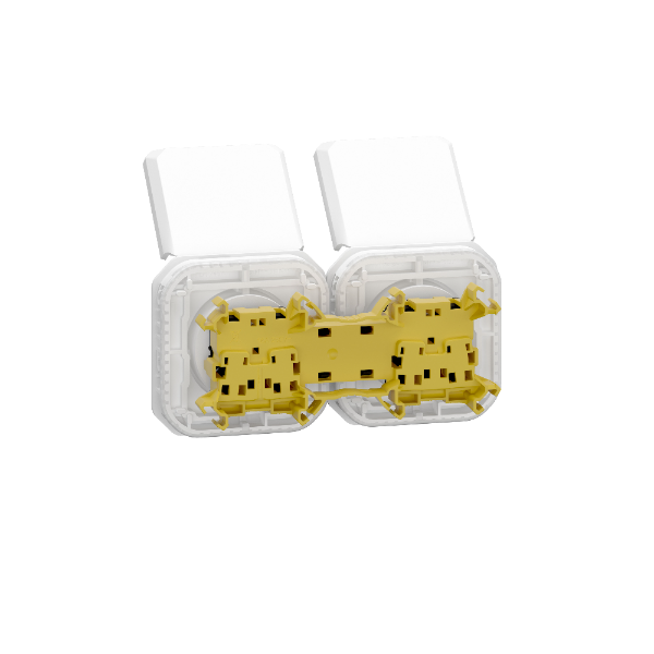 Legrand - Plexo - Double prise 2P+T - 16A - 250V - composable - précâblée - horizontale - IP55/IK08 - Réf : 069642L