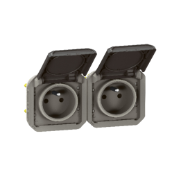 Legrand - Plexo - Double prise 2P+T - 16A - 250V - composable - précâblée - horizontale - IP55/IK08 - Anthracite - Réf : 069842L