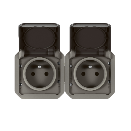 Legrand Plexo - Double prise 2P+T - 16A - 250V - composable - précâblée - horizontale - IP55/IK08 - Anthracite - Réf : 069842L