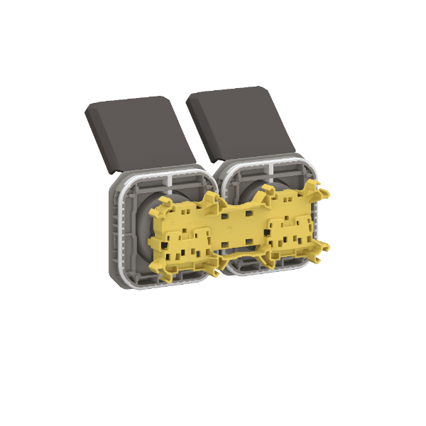 Legrand Plexo - Double prise 2P+T - 16A - 250V - composable - précâblée - horizontale - IP55/IK08 - Anthracite - Réf : 069842L