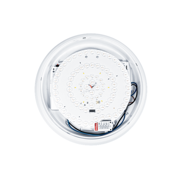 Thorn - Hublot LED TOM VARIO FLEX - TOM VF 2200 830/35/40/57/65 WH MWS - Réf : 96637989