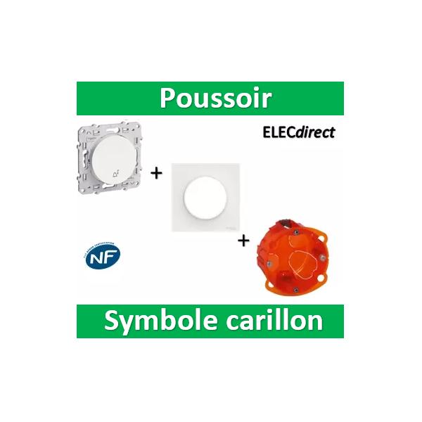 Schneider Odace - Bouton poussoir Complet - 10A - 250V - Réf : S520206 +  S520702 - ELECdirect Vente Matériel Électrique