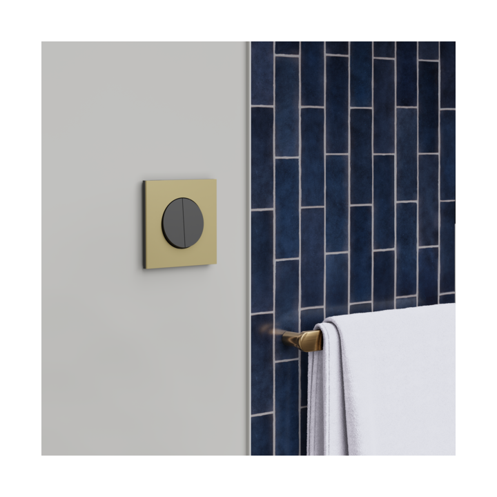 Schneider - Odace 2025 - double va-et-vient ou poussoir - 10AX - noir onyx - Réf : S940214