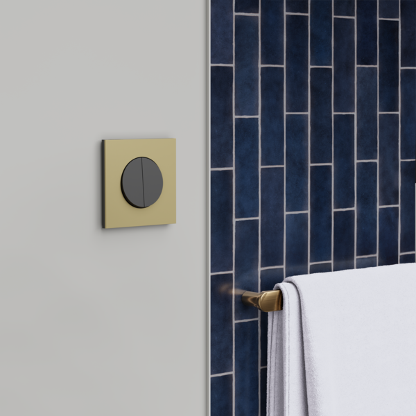 Schneider - Odace 2025 - double va-et-vient ou poussoir - 10AX - noir onyx - Réf : S940214