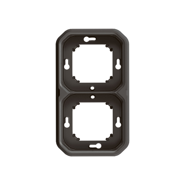 Legrand Plexo - Support plaque étanche - Encastré - 2 postes - Horizontal ou vertical - Anthracite - Réf : 069607L