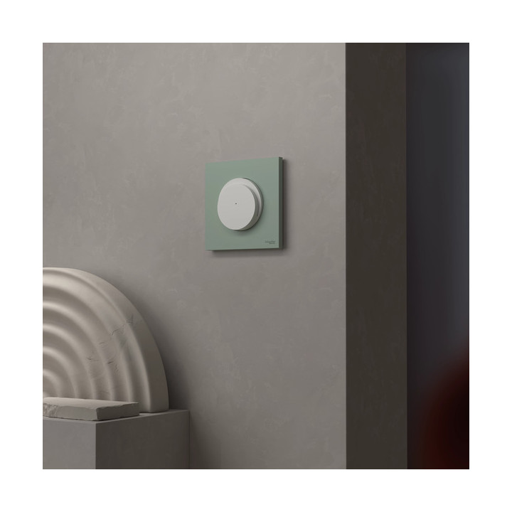 Schneider - Odace 2025 - plaque de finition 1 poste - Vert jade - Réf : S903702