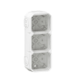 Legrand - Plexo L - Boîtier saillie étanche composable - 3 postes - horizontal/vertical - blanc - Réf : 069688L
