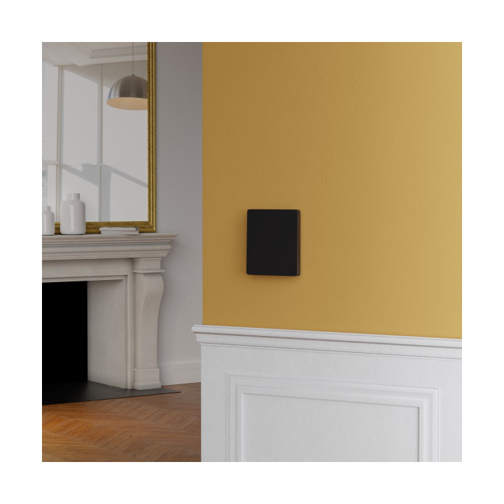 Schneider - Odace Intégral 2025 - Enjoliveur et plaque pour va et vient ou poussoir - Noir onyx - Réf : S949221
