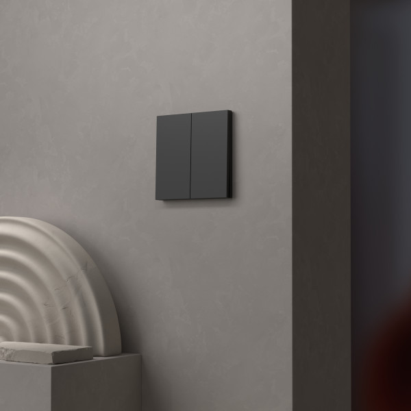 Schneider - Odace Intégral 2025 - Enjoliveur et plaque pour double va et vient ou poussoir - Noir onyx - Réf : S949222