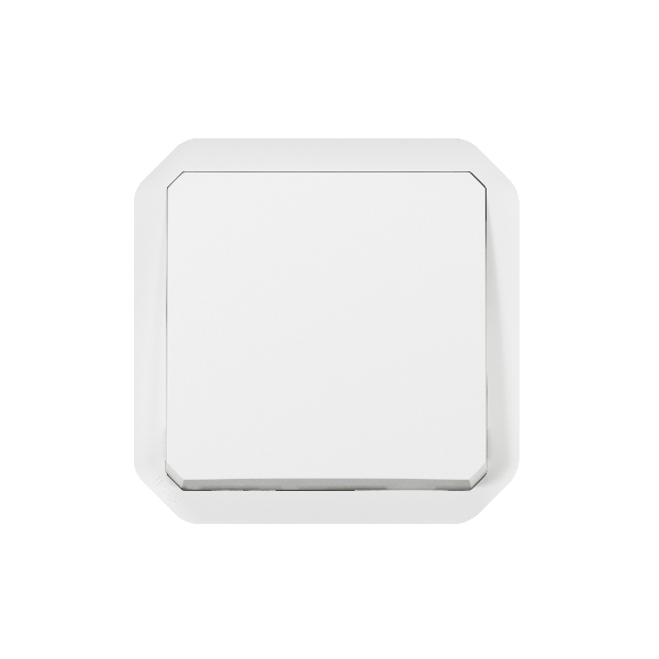 Legrand - Plexo L - Poussoir - 10A - 250V - Composable - IP55/IK08 - Blanc - Réf : 069630L