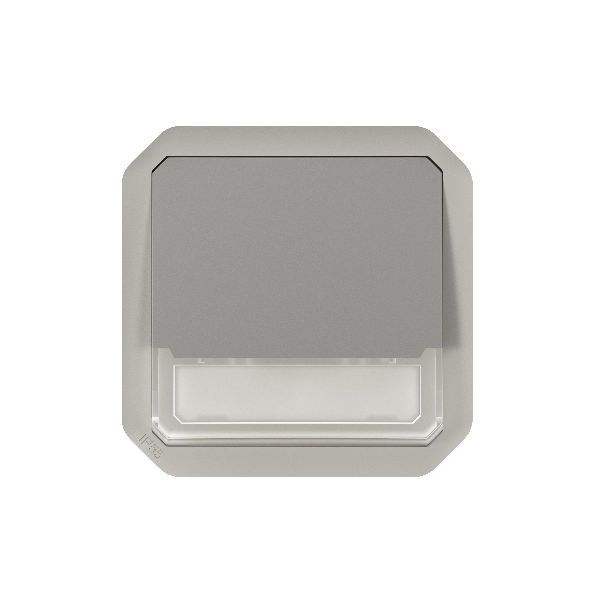 Legrand - Plexo L - Poussoir NO-NF lumineux porte-étiquette avec voyant - 10A - 250V - compo. - gris - IP55/IK08 - Réf : 069544l