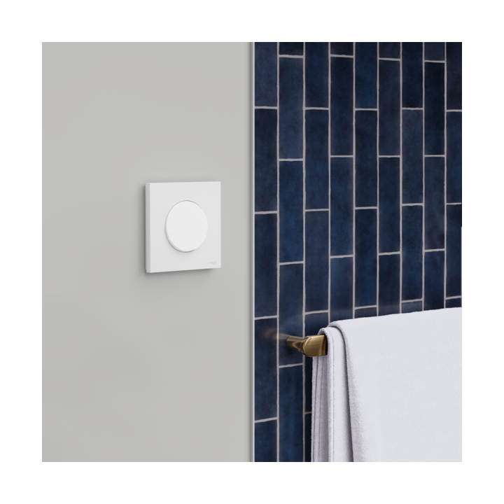 Schneider - Odace 2025 - LOT de 120 Va et Vient ou Poussoir - 10AX - Blanc craie - Réf : S920204 x 120