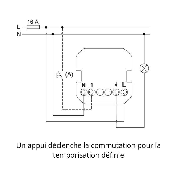 Schneider - Odace 2025 - Détecteur de présence et mouvement - 3 fils avec neutre - Noir onyx - Réf : S940526