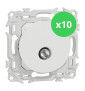 Schneider - Odace 2025 - LOT de 10 Prises TV simple mâle - Sortie coaxiale - Blanc craie - Réf : S920445 x 10