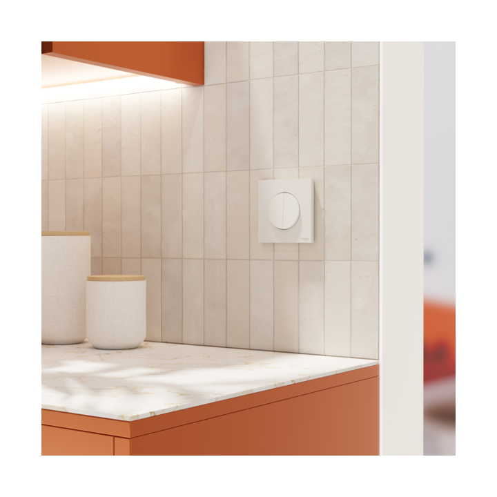 Schneider - Odace 2025 - LOT de 10 Double va-et-vient ou poussoir - 10AX - Blanc craie - Réf : S920214 x 10