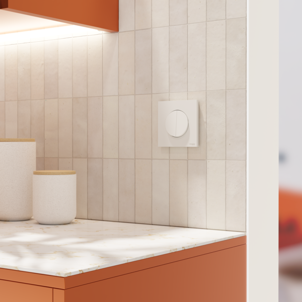 Schneider - Odace 2025 - LOT de 10 Double va-et-vient ou poussoir - 10AX - Blanc craie - Réf : S920214 x 10