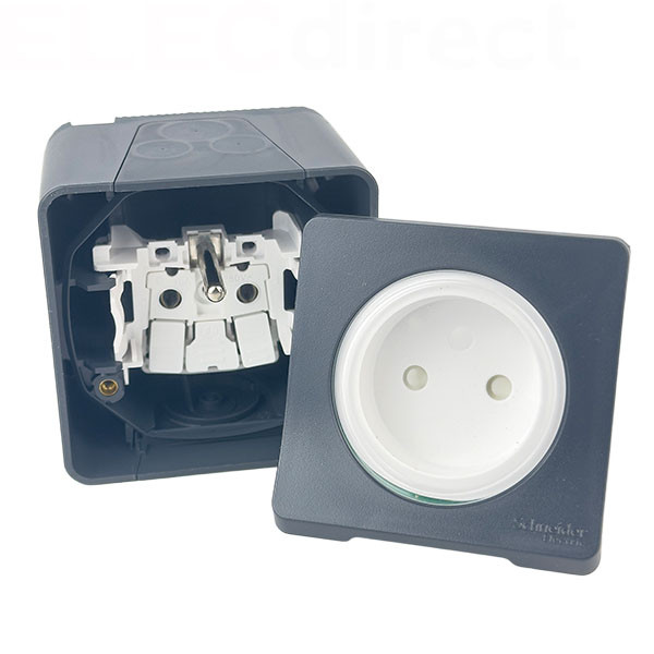 Schneider - Mureva Styl - Prise 2P+T - Saillie - IP55/IK08 - Connexion auto - Gris - Ref : MUR35031