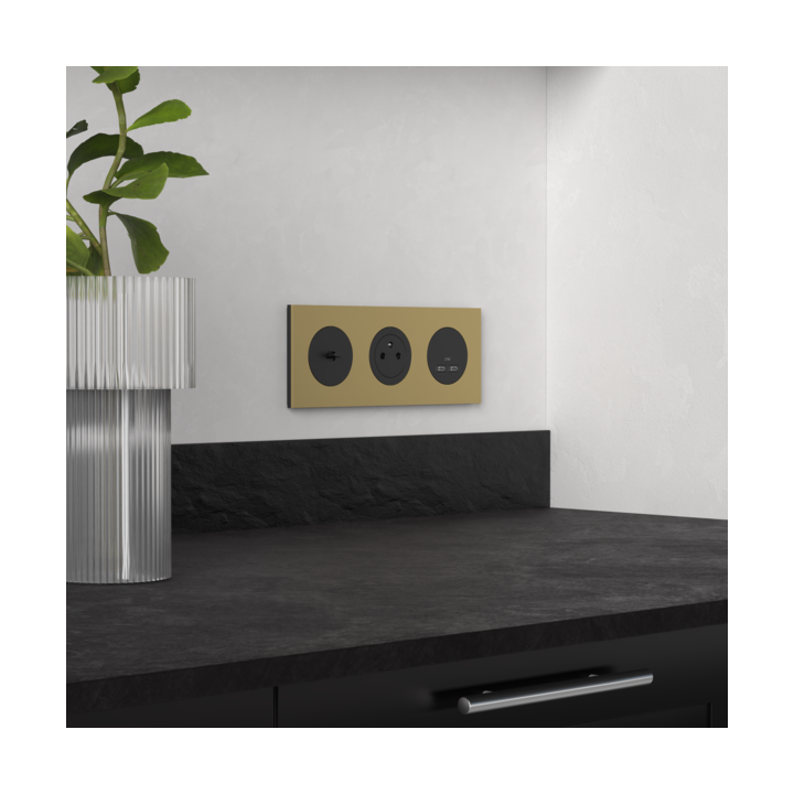 Schneider - Odace 2025 - LOT de 10 Chargeurs double USB type C+C - 21W Power Delivery - Noir onyx - Réf : S940401 x 10