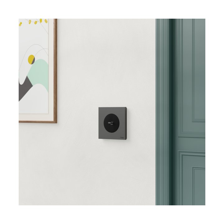 Schneider - Odace 2025 - LOT de 10 Va et Vient ou Poussoir à levier - Noir onyx - Réf : S940203 x 10